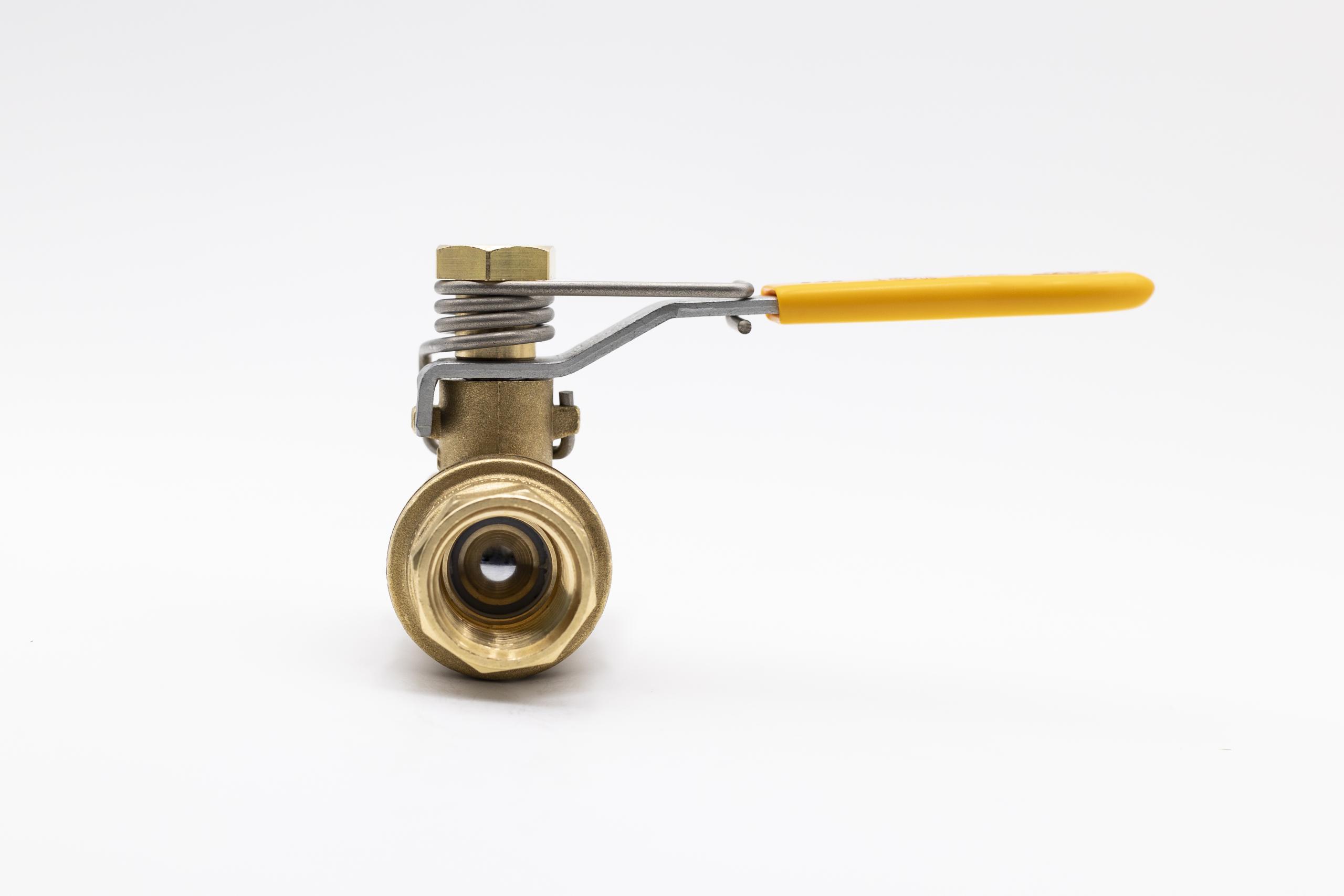 s95 npt spring return